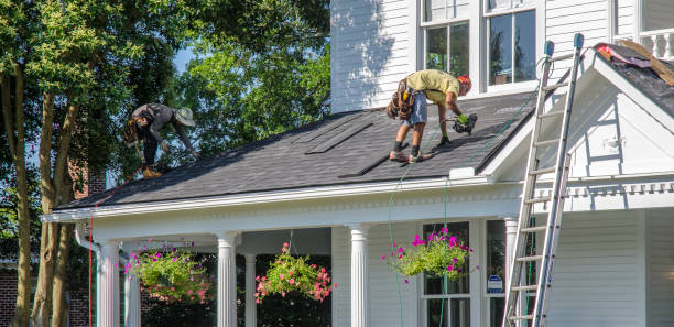 Best Roof Ventilation Installation  in Union Park, FL